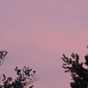 大黑鸡吧插逼视频
