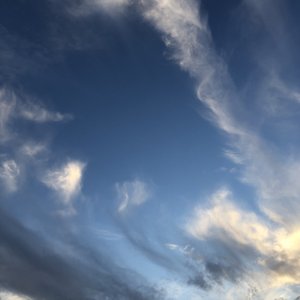 大黑鸡吧插逼视频
